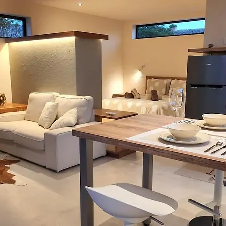 Wombat Elegance Tu Casa